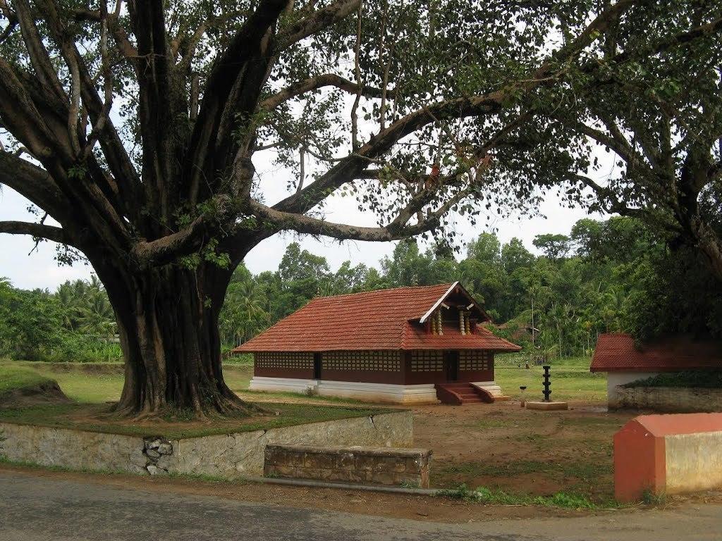 Wayanad Gate Resort Mananthavady Exterior photo