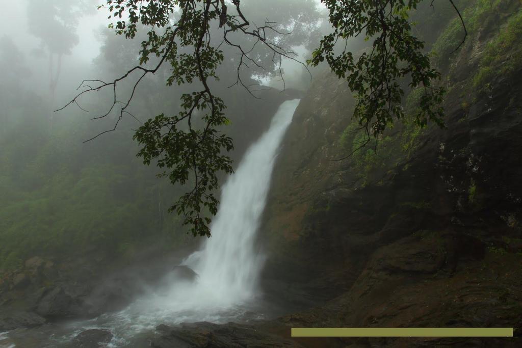 Wayanad Gate Resort Mananthavady Exterior photo