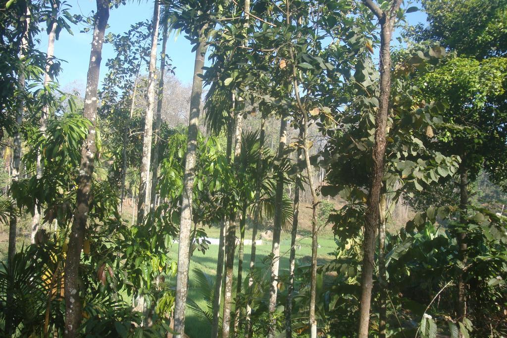 Wayanad Gate Resort Mananthavady Exterior photo