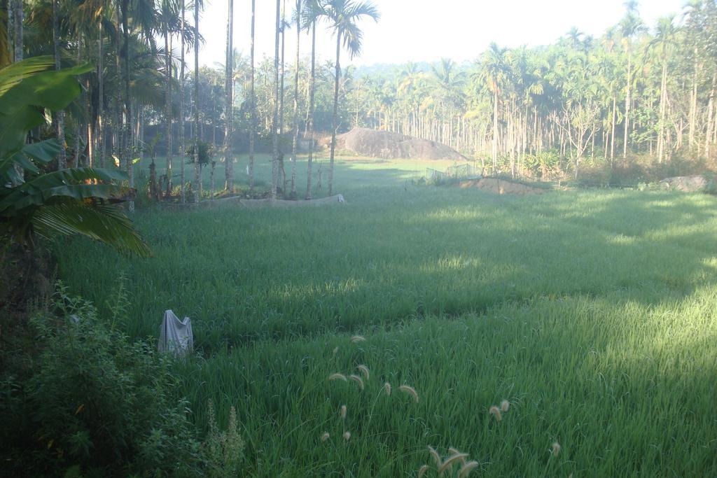 Wayanad Gate Resort Mananthavady Exterior photo